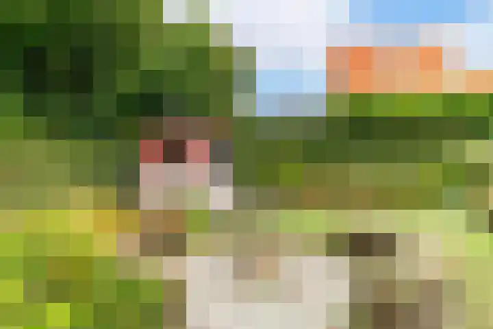 Zandweg 36 Oostvoorne thumbnail 38