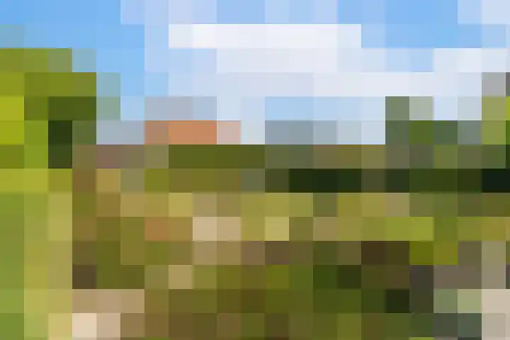 Zandweg 36 Oostvoorne thumbnail 39