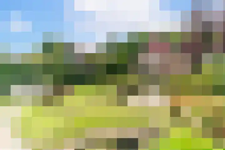 Zandweg 36 Oostvoorne thumbnail 4