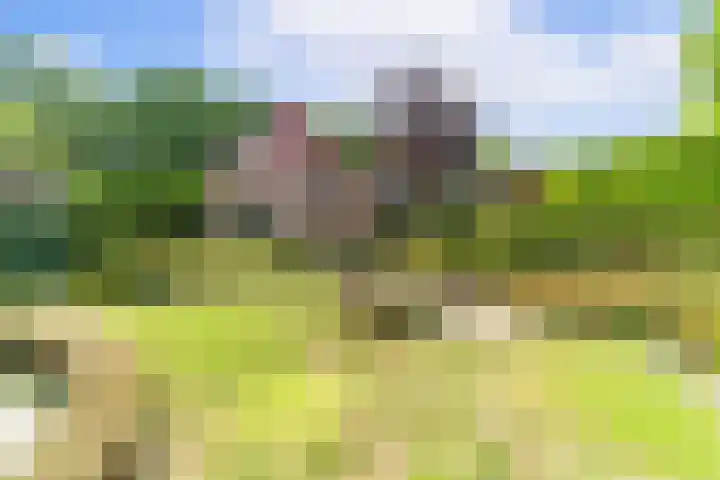Zandweg 36 Oostvoorne thumbnail 40