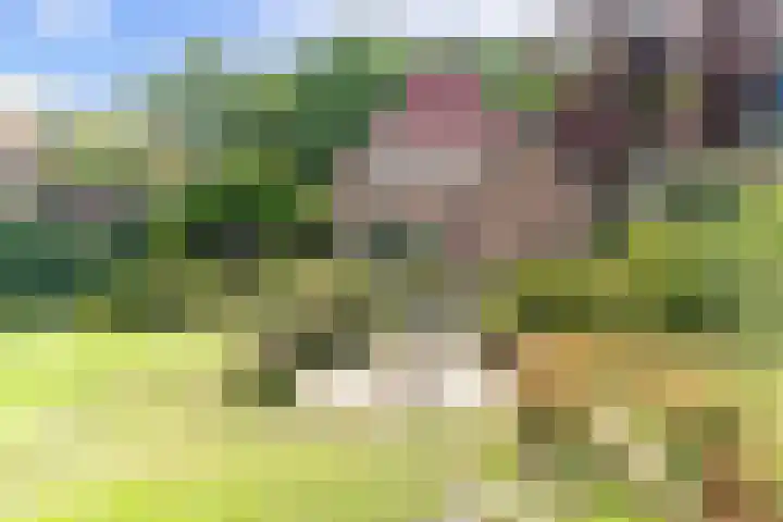Zandweg 36 Oostvoorne thumbnail 41