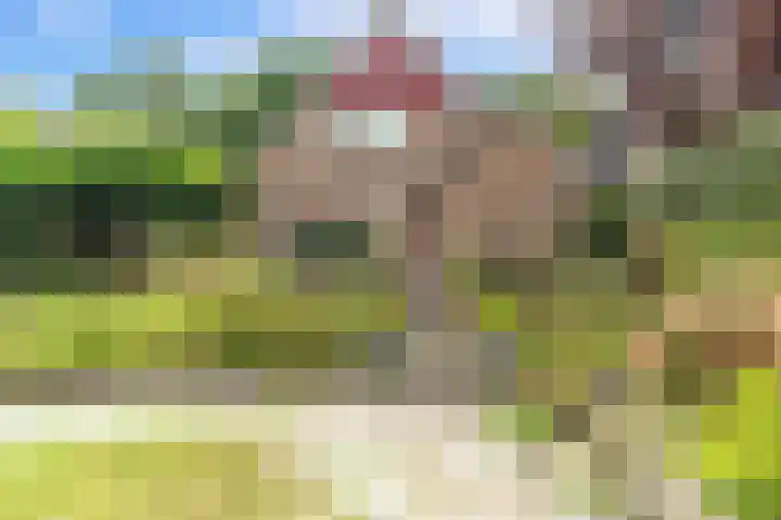 Zandweg 36 Oostvoorne thumbnail 42