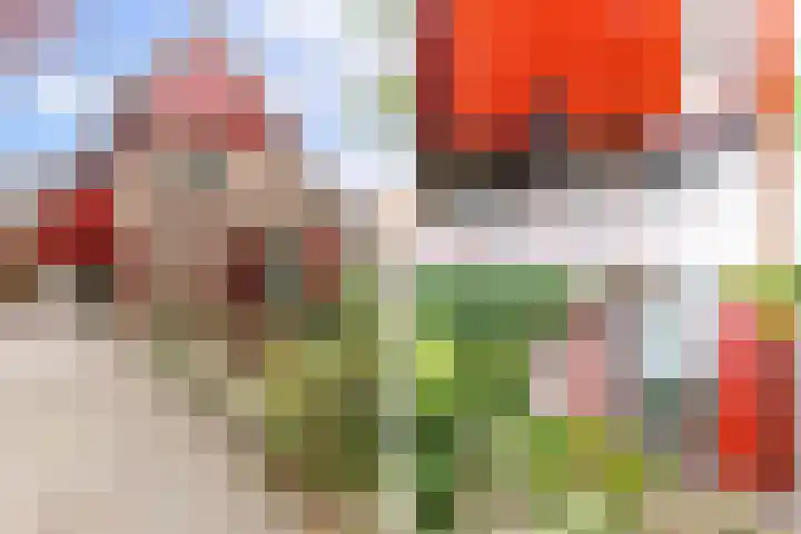 Zandweg 36 Oostvoorne thumbnail 6