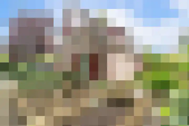 Zandweg 36 Oostvoorne thumbnail 7