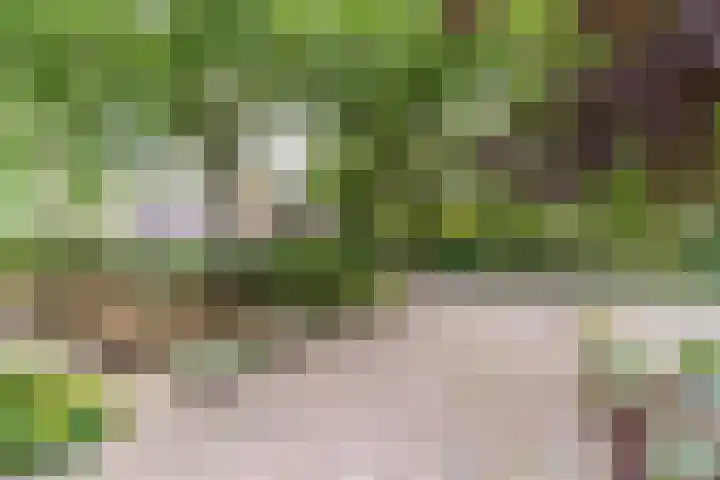 Zandweg 36 Oostvoorne thumbnail 8
