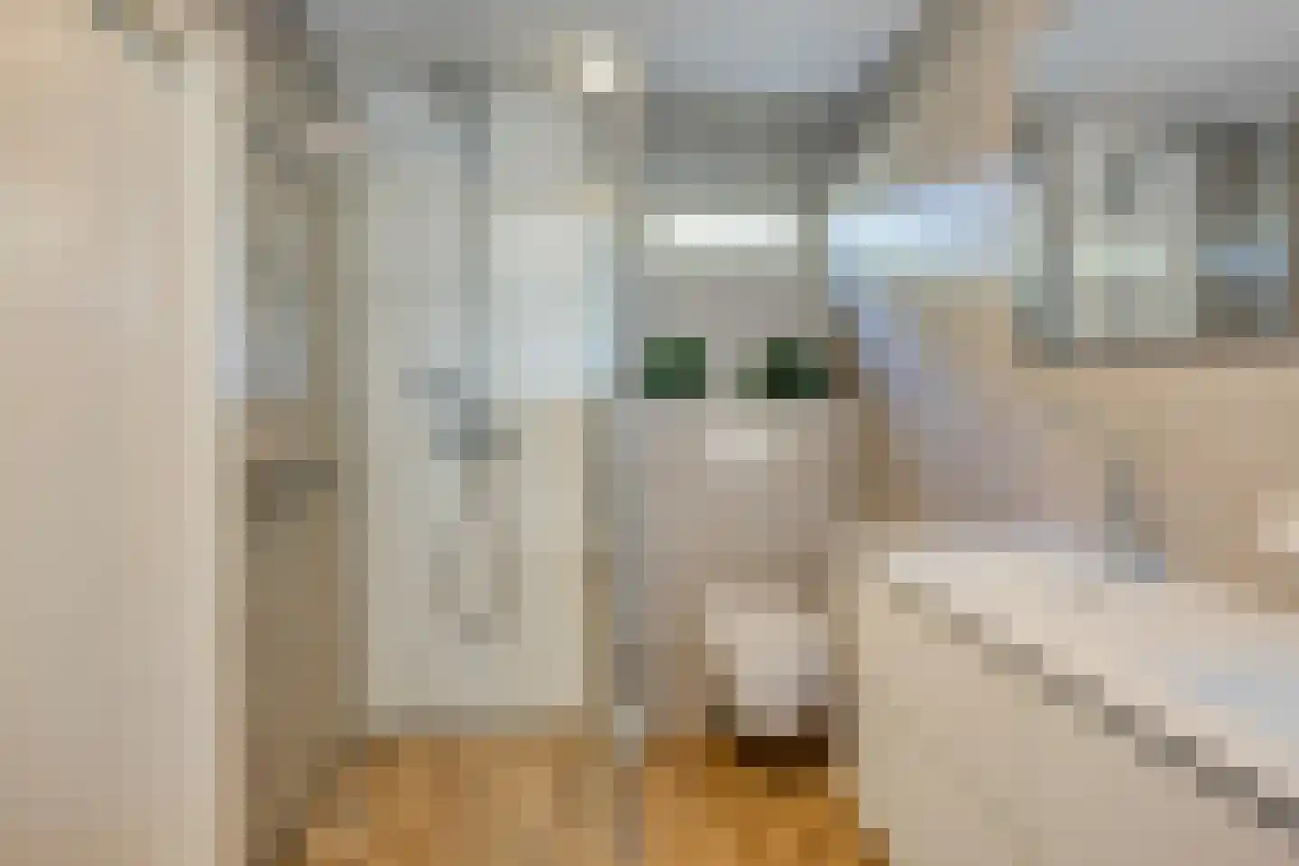 Zandweg 36 Wijchen thumbnail 19