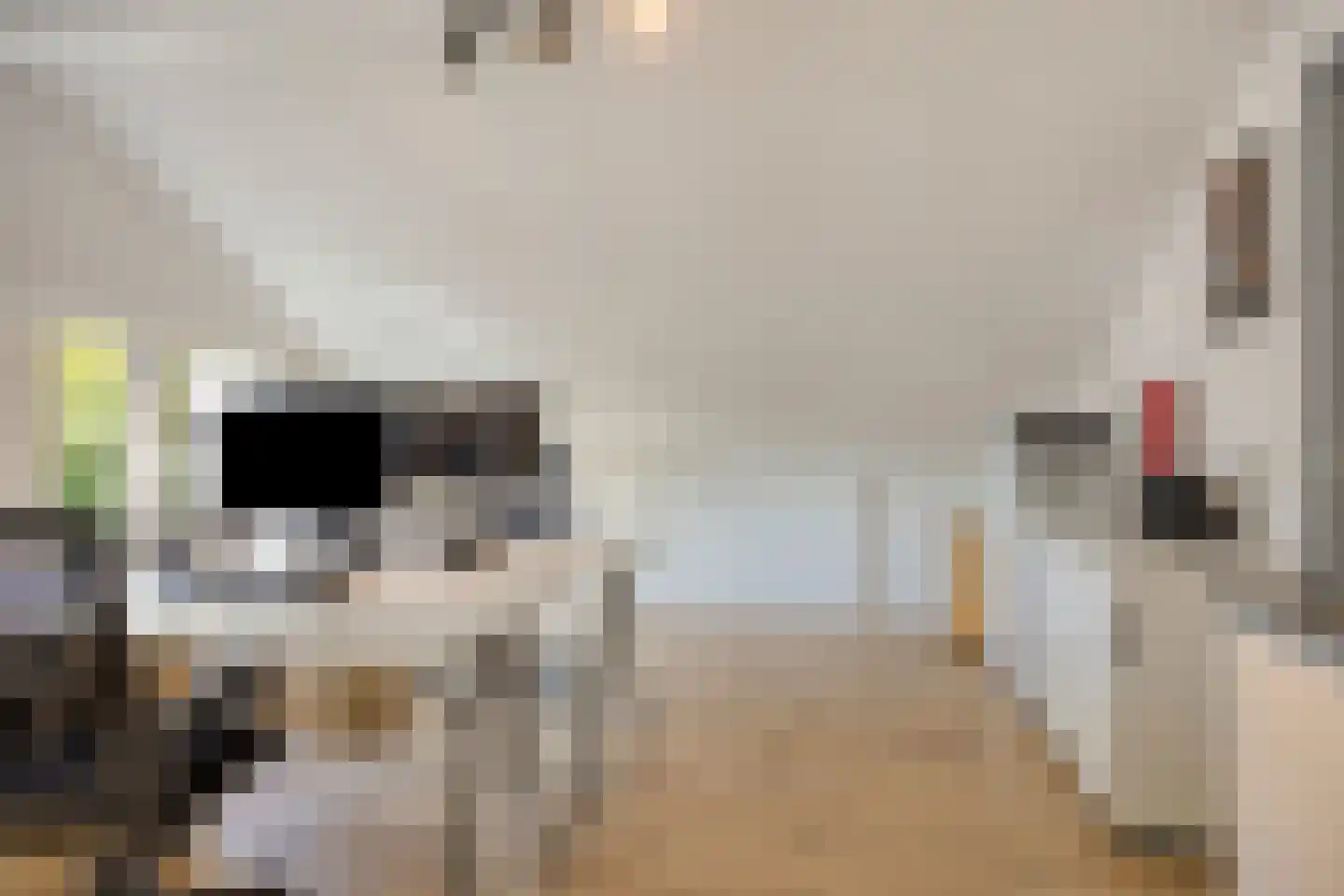 Zandweg 36 Wijchen thumbnail 29