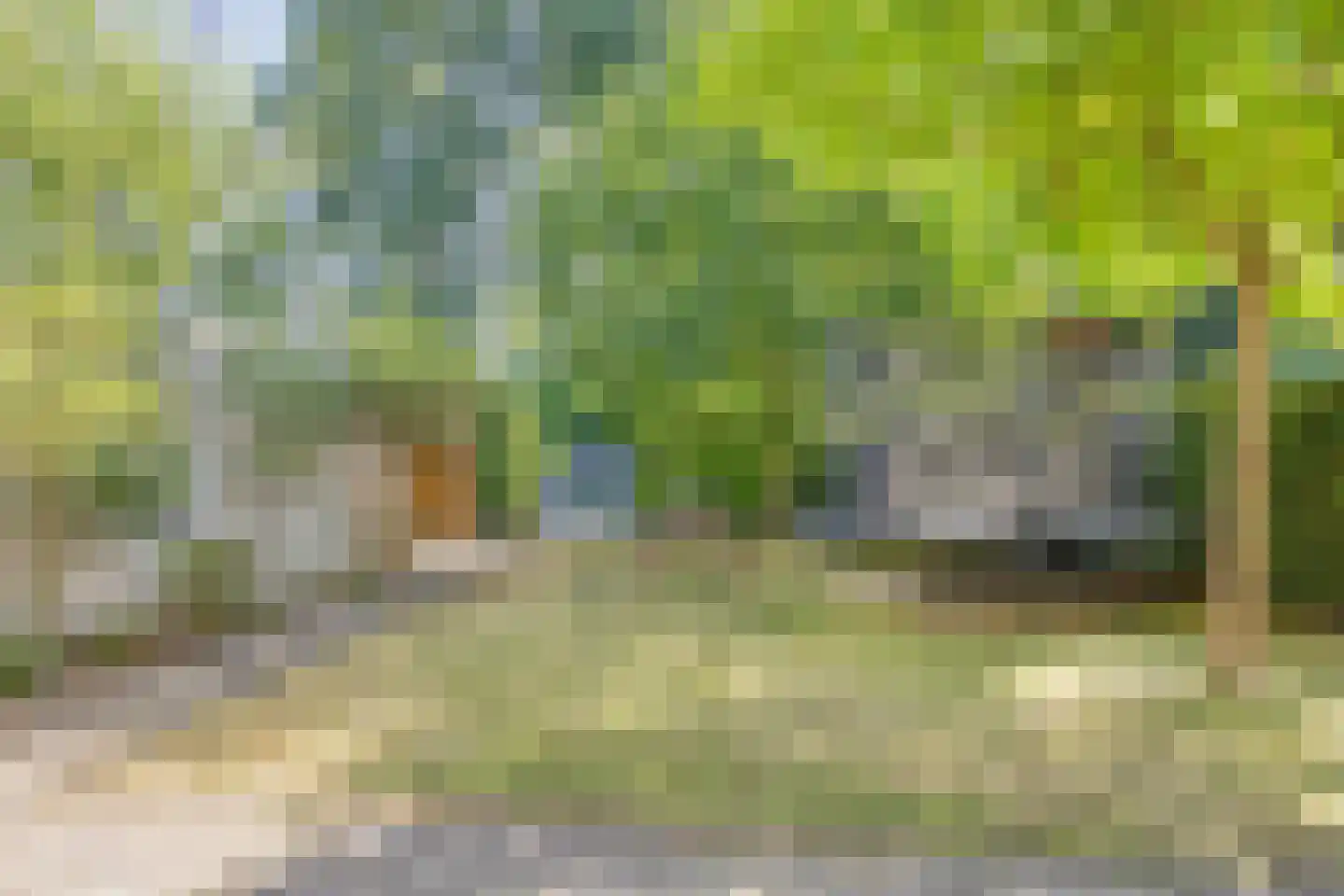 Zandweg 36 Wijchen thumbnail 31