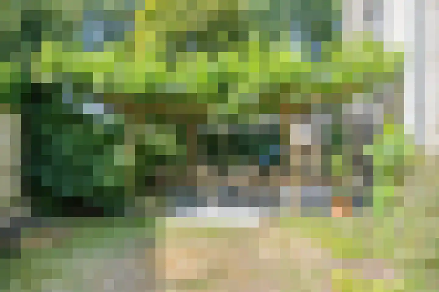 Zandweg 36 Wijchen thumbnail 32