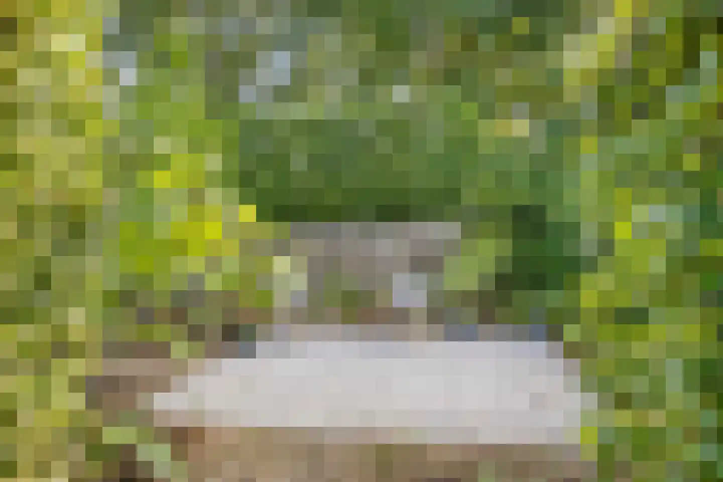 Zandweg 36 Wijchen thumbnail 33