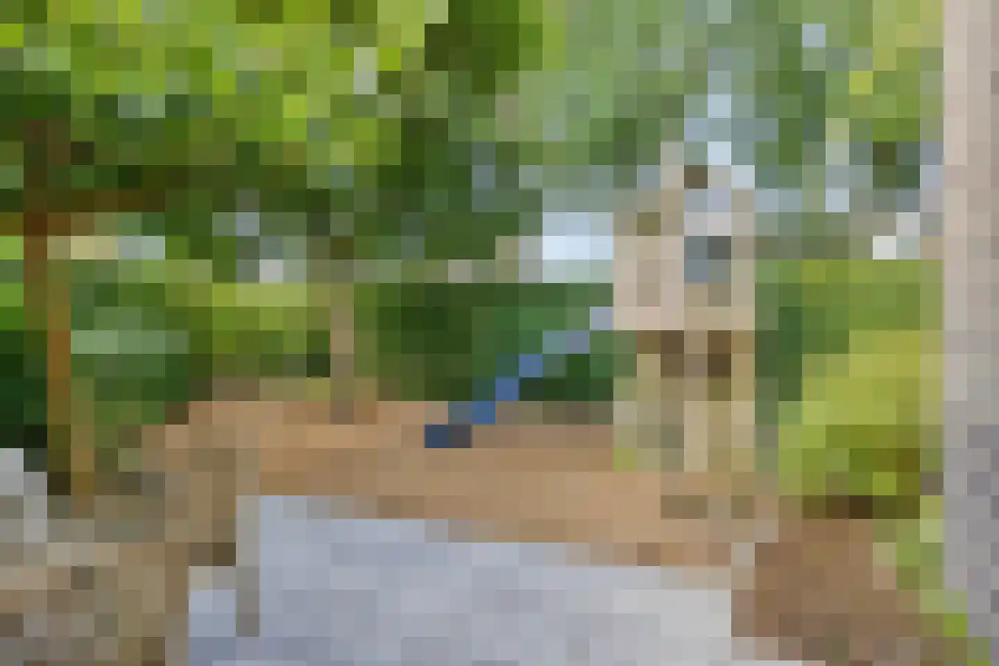 Zandweg 36 Wijchen thumbnail 34