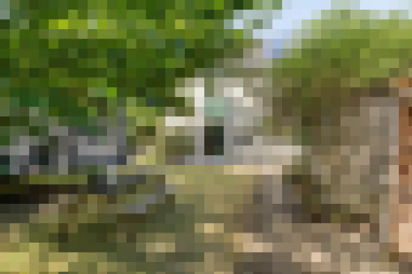 Zandweg 36 Wijchen thumbnail 36