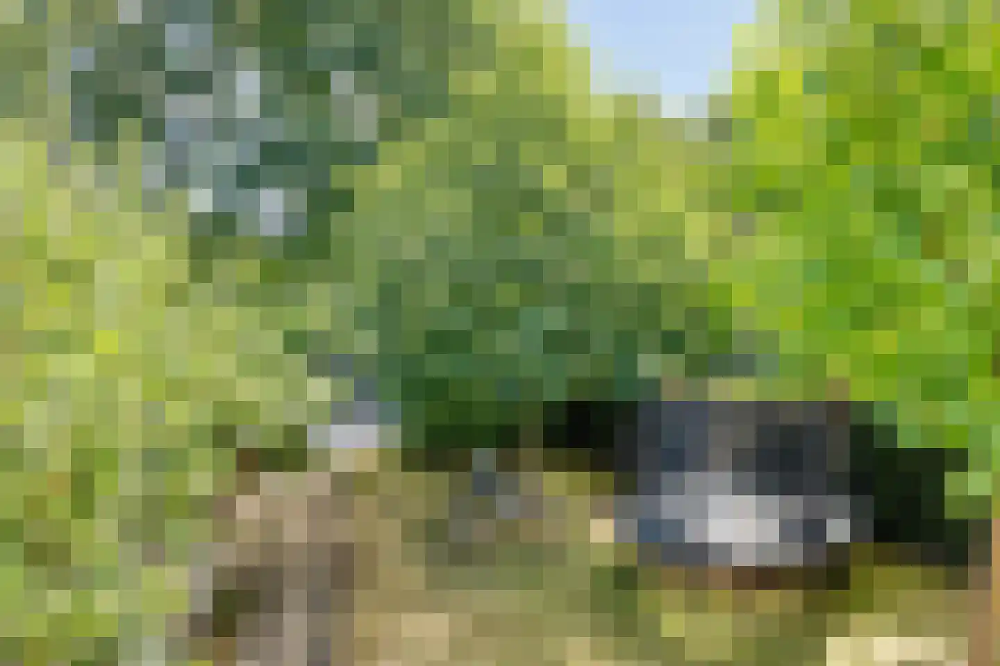 Zandweg 36 Wijchen thumbnail 37