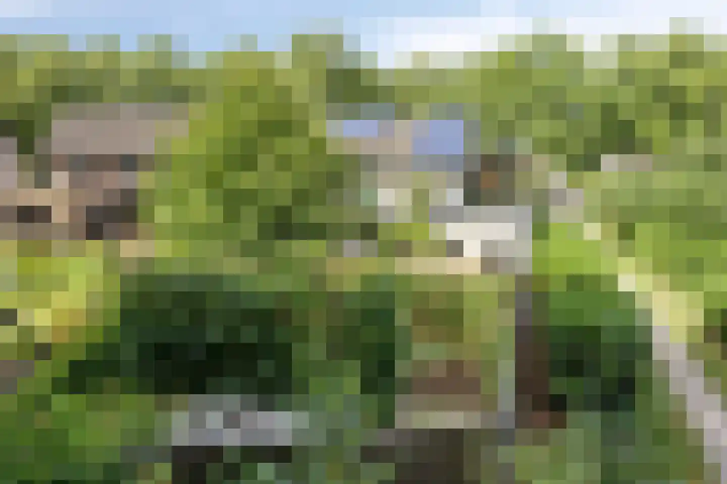 Zandweg 36 Wijchen thumbnail 38