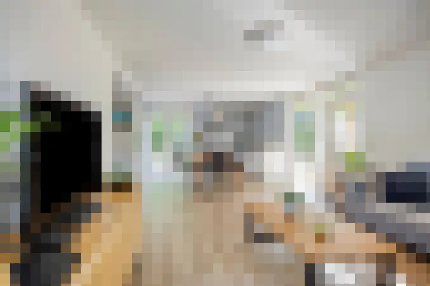 Zandweg 36 Wijchen thumbnail 8