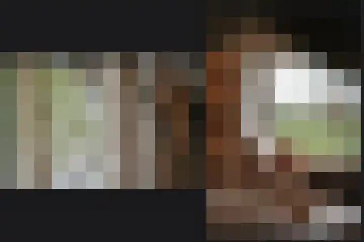 Zandweg 4 a Ammerzoden thumbnail 10