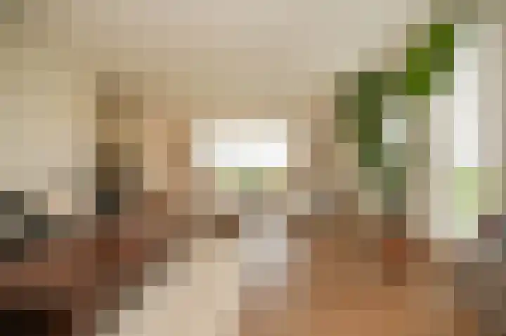 Zandweg 4 a Ammerzoden thumbnail 12