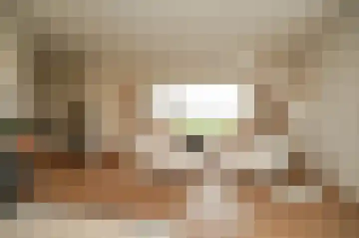 Zandweg 4 a Ammerzoden thumbnail 13