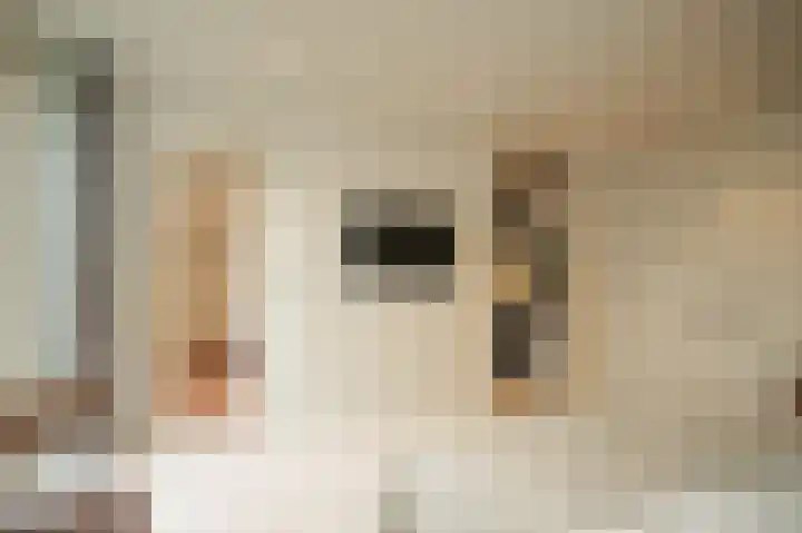 Zandweg 4 a Ammerzoden thumbnail 31