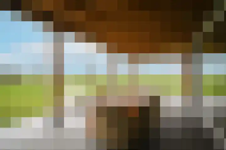 Zandweg 4 a Ammerzoden thumbnail 44