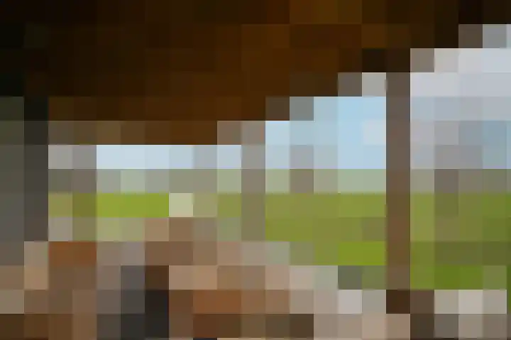 Zandweg 4 a Ammerzoden thumbnail 47