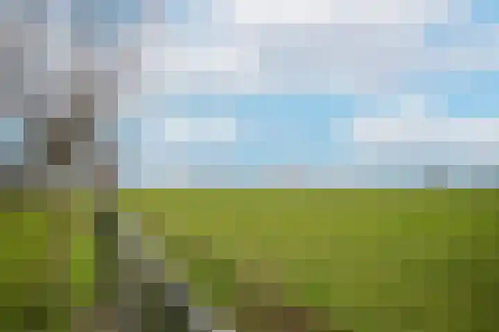 Zandweg 4 a Ammerzoden thumbnail 50