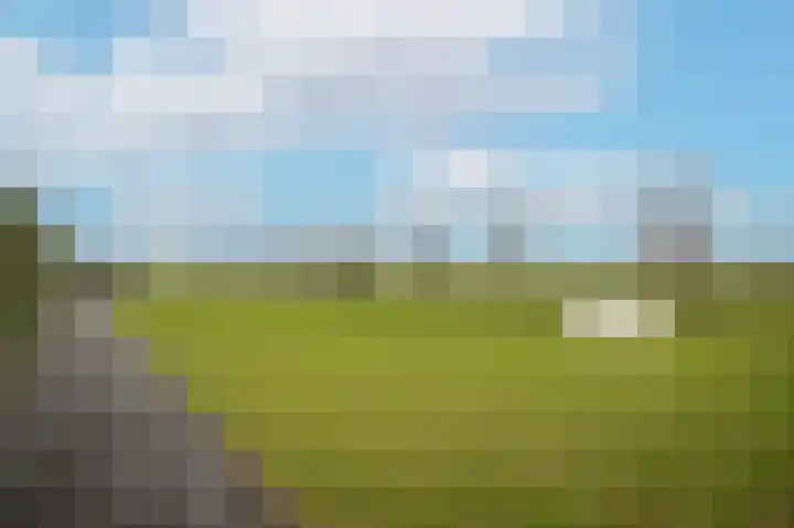 Zandweg 4 a Ammerzoden thumbnail 51
