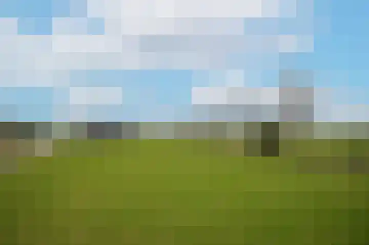 Zandweg 4 a Ammerzoden thumbnail 53