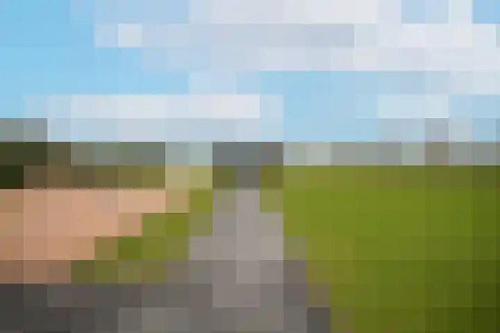 Zandweg 4 a Ammerzoden thumbnail 54