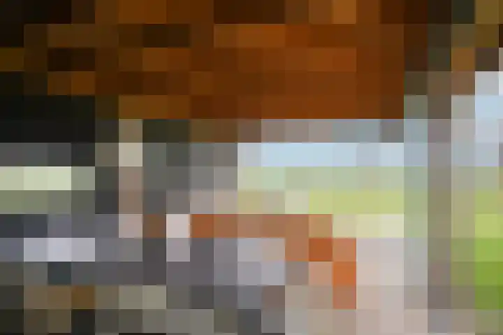 Zandweg 4 a Ammerzoden thumbnail 56