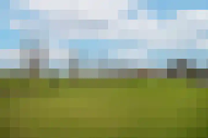 Zandweg 4 a Ammerzoden thumbnail 59