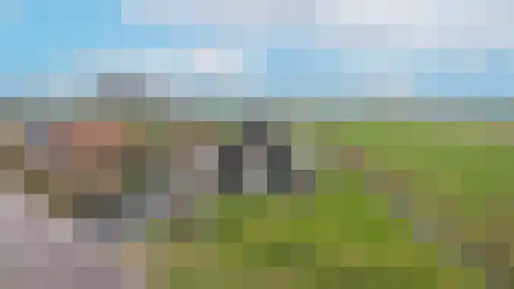 Zandweg 4 a Ammerzoden thumbnail 69