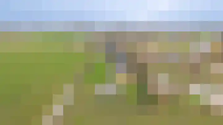 Zandweg 4 a Ammerzoden thumbnail 70