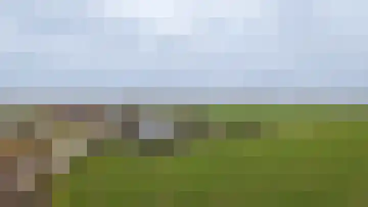 Zandweg 4 a Ammerzoden thumbnail 71