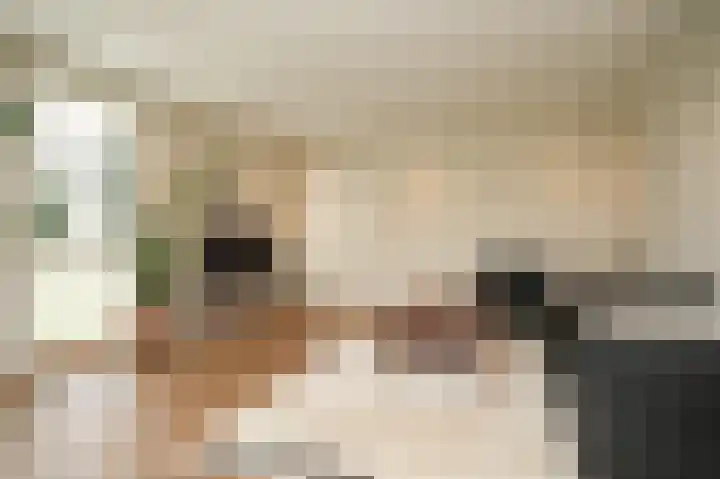 Zandweg 4 a Ammerzoden thumbnail 9