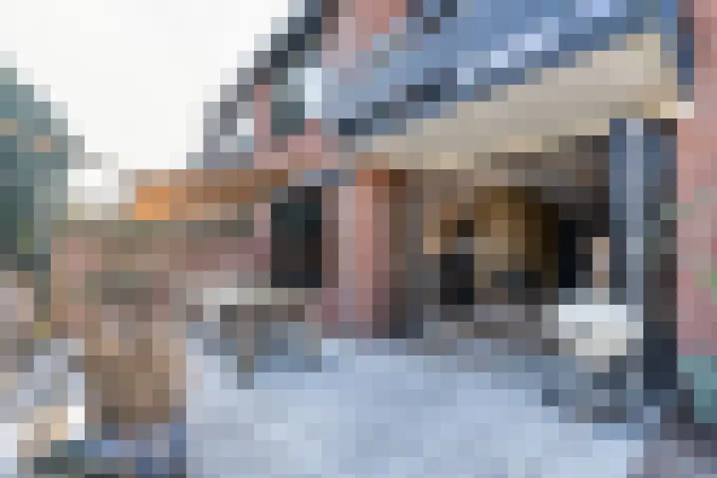 Zandweg 40 Wijk bij Duurstede thumbnail 14
