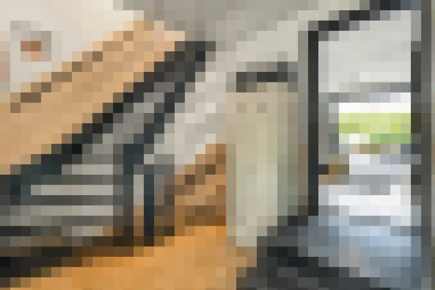 Zandweg 40 Wijk bij Duurstede thumbnail 19