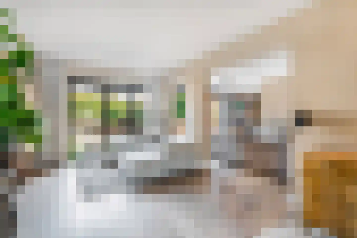 Zandweg 40 Wijk bij Duurstede thumbnail 25