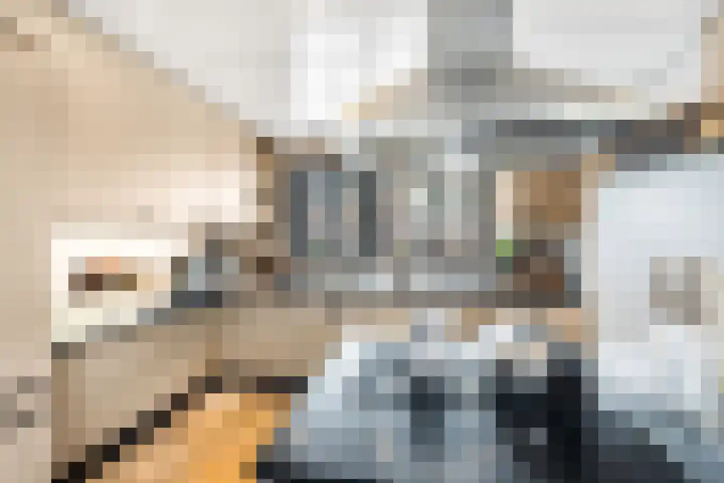 Zandweg 40 Wijk bij Duurstede thumbnail 27