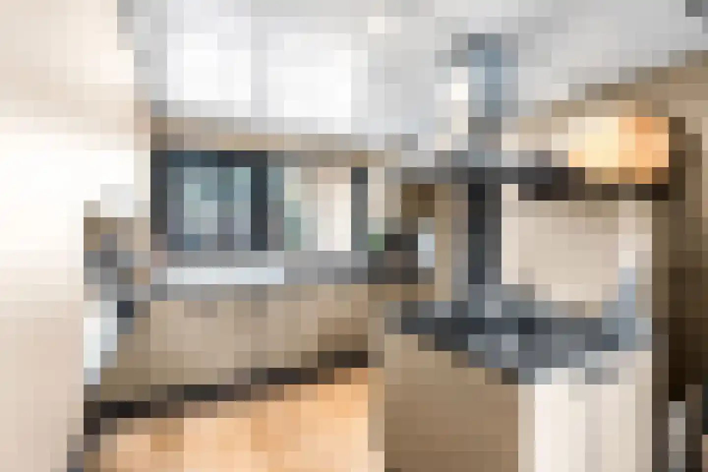 Zandweg 40 Wijk bij Duurstede thumbnail 28