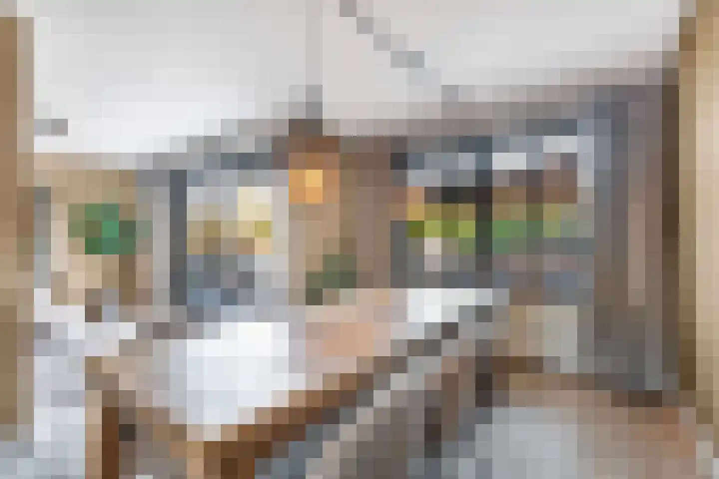 Zandweg 40 Wijk bij Duurstede thumbnail 30