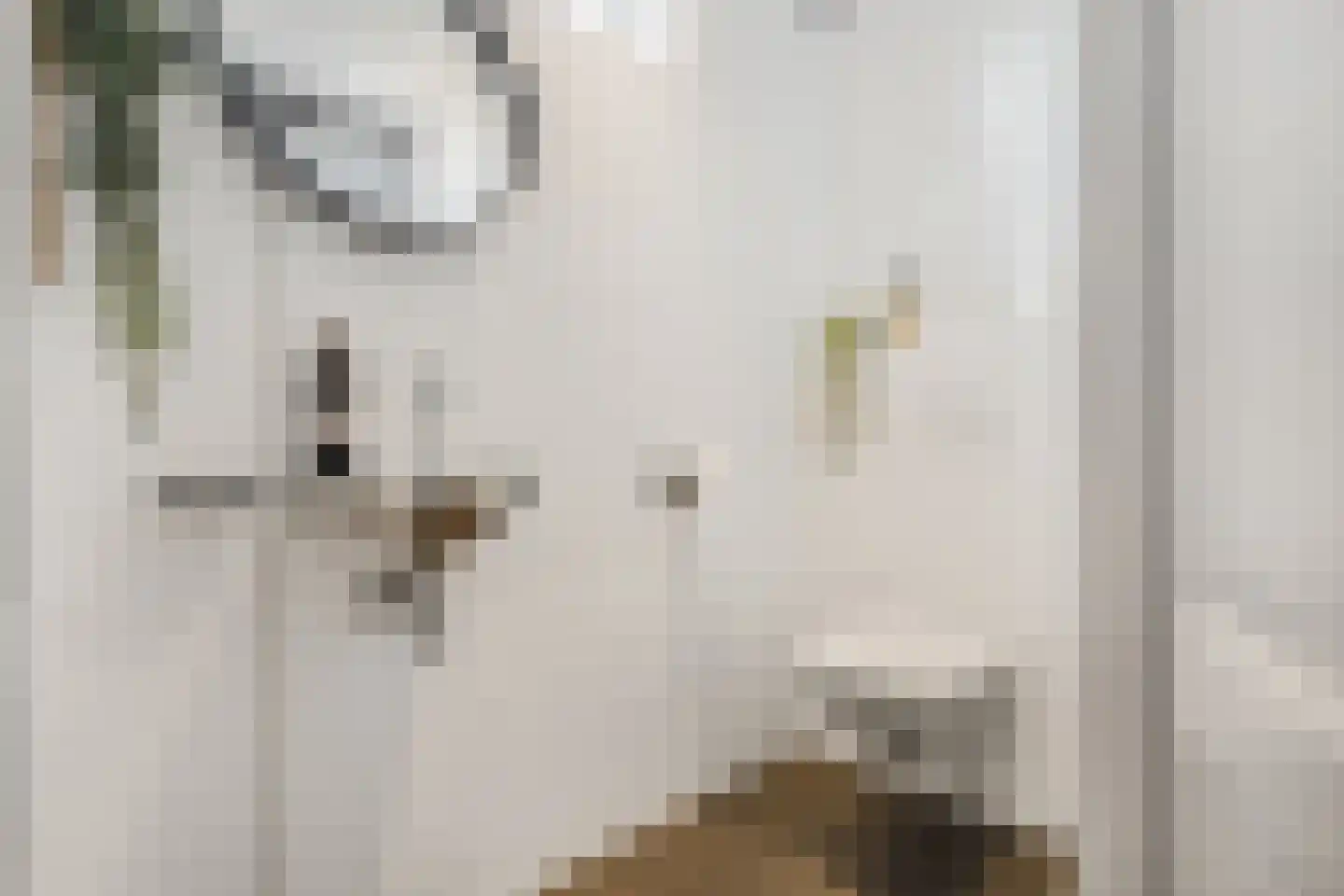 Zandweg 40 Wijk bij Duurstede thumbnail 33