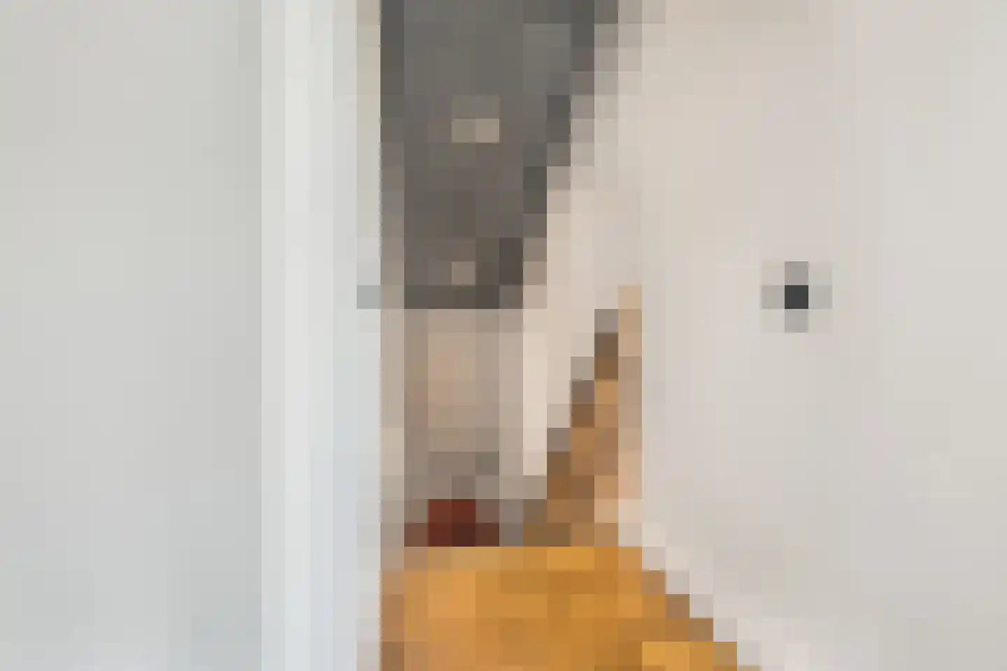 Zandweg 40 Wijk bij Duurstede thumbnail 34