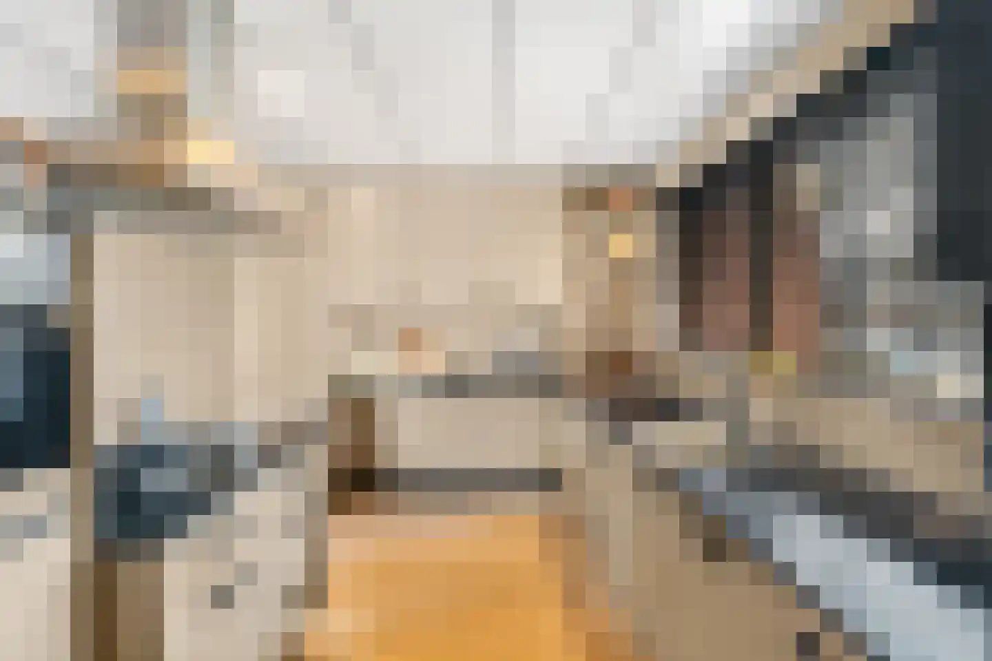 Zandweg 40 Wijk bij Duurstede thumbnail 4