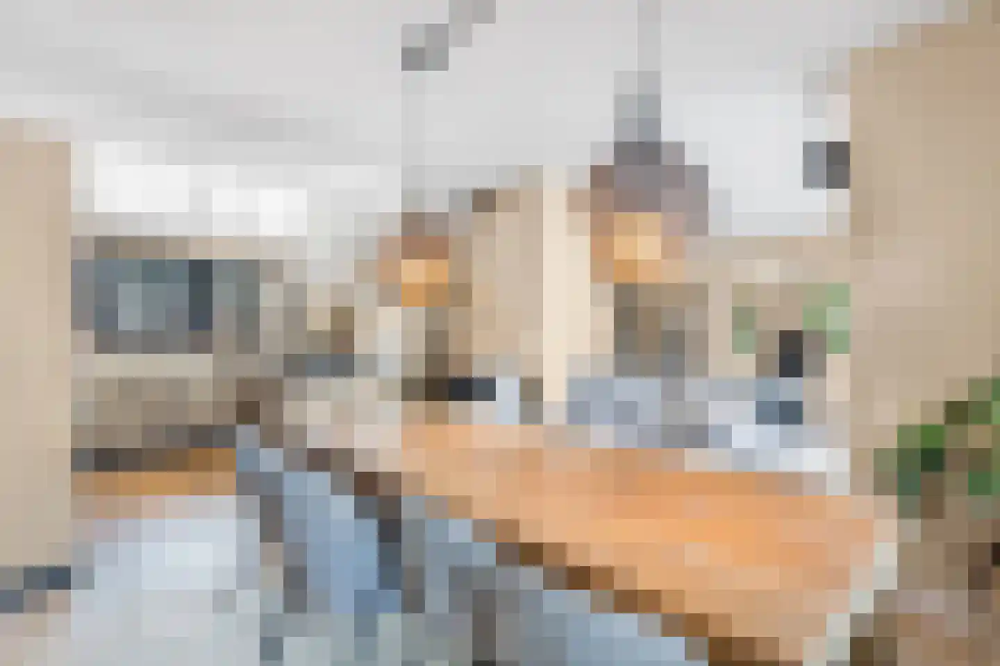 Zandweg 40 Wijk bij Duurstede thumbnail 5