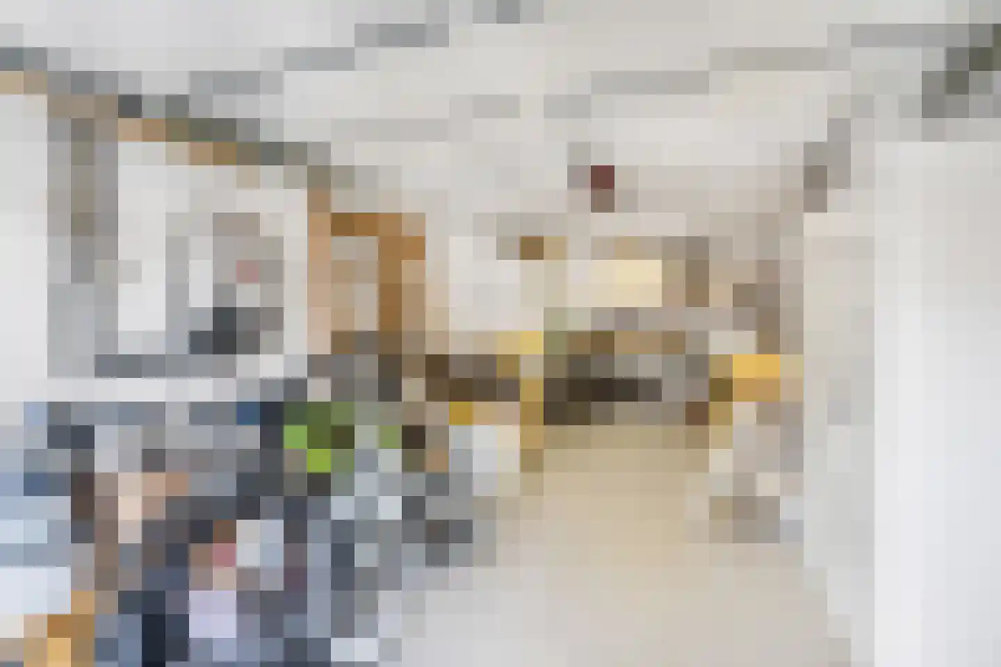 Zandweg 40 Wijk bij Duurstede thumbnail 56
