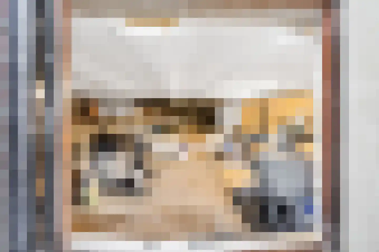 Zandweg 40 Wijk bij Duurstede thumbnail 58