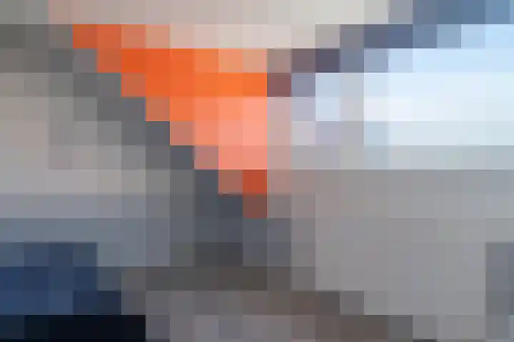 Zandweg 41 Kruiningen thumbnail 25