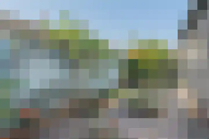 Zandweg 41 Kruiningen thumbnail 36