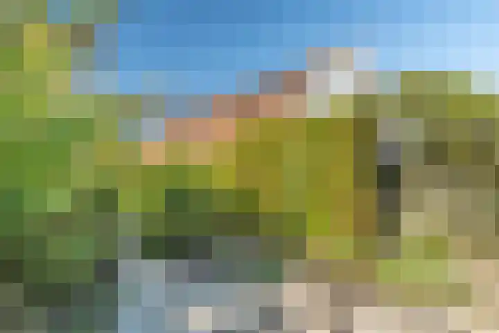 Zandweg 41 Kruiningen thumbnail 39